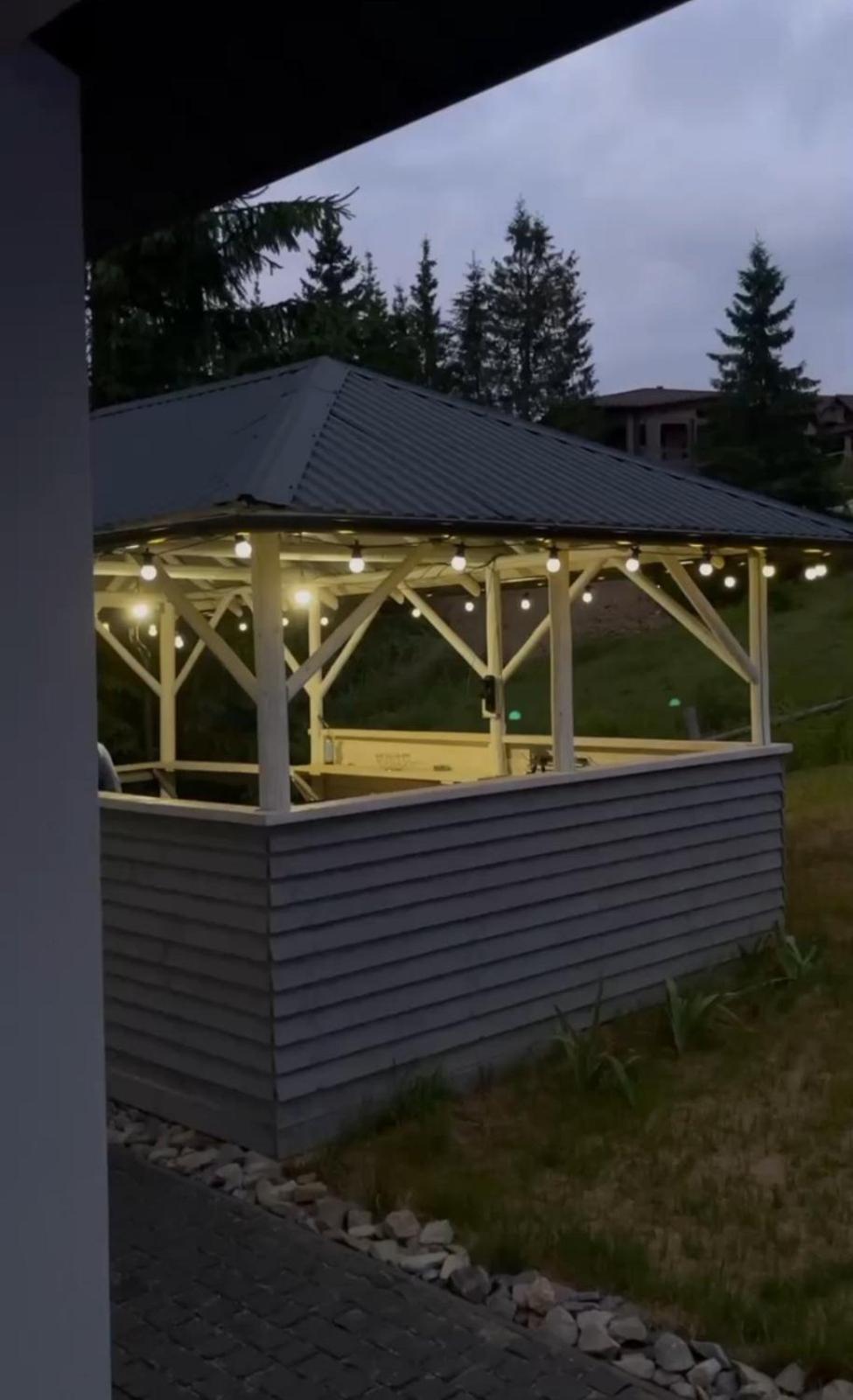 Lidia Chalets Polyanitsa Popovichevskaya Dış mekan fotoğraf